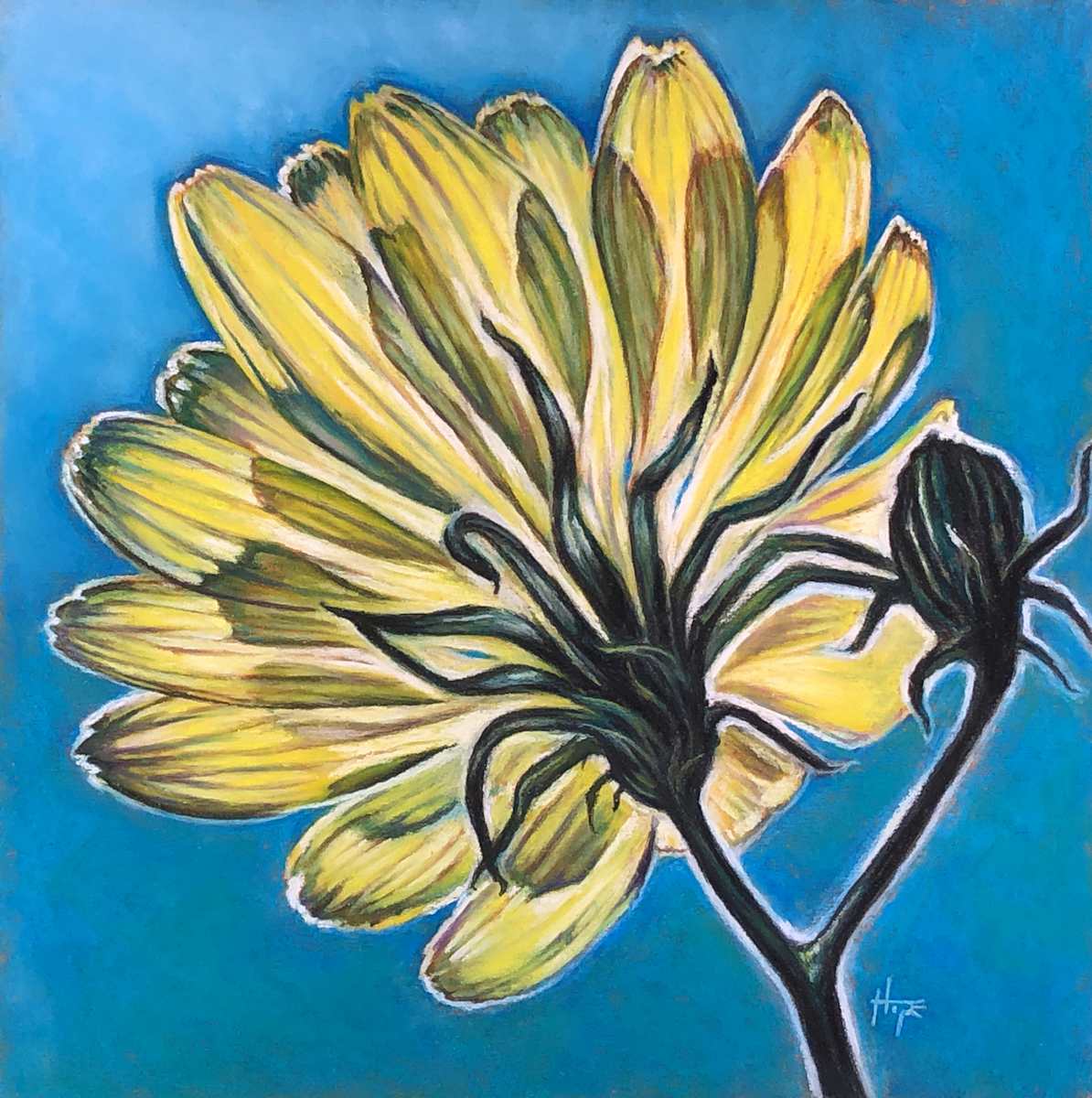Glow I: Basking Bloom by Hope Martin, Image 2.