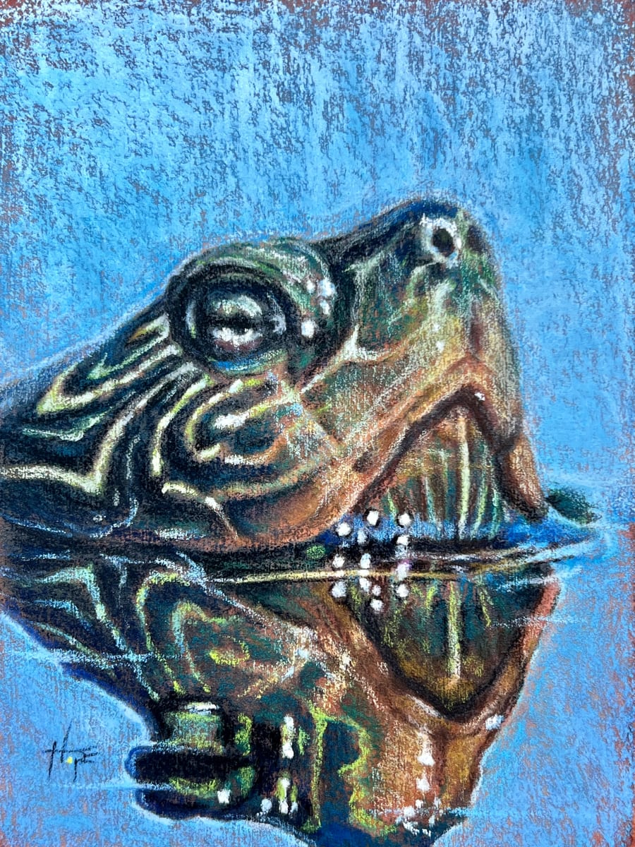 Turtle Study 3 by Hope Martin 