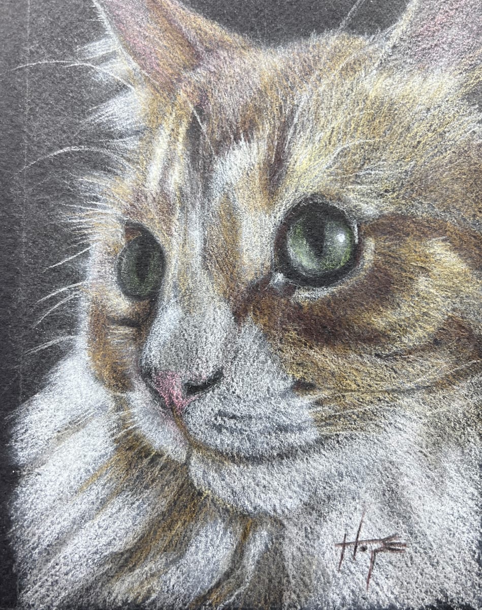 Little Milo by Hope Martin 