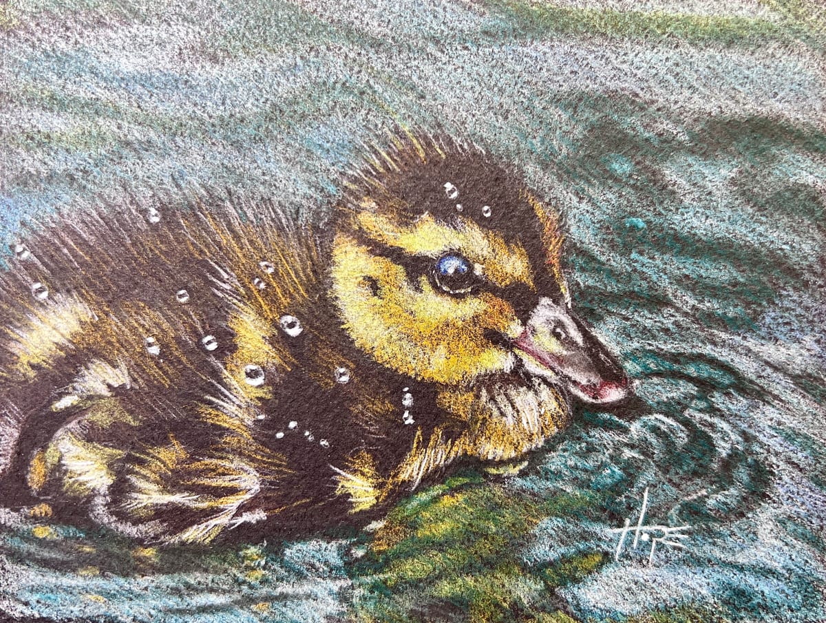 Duckling drawing by Hope Martin 