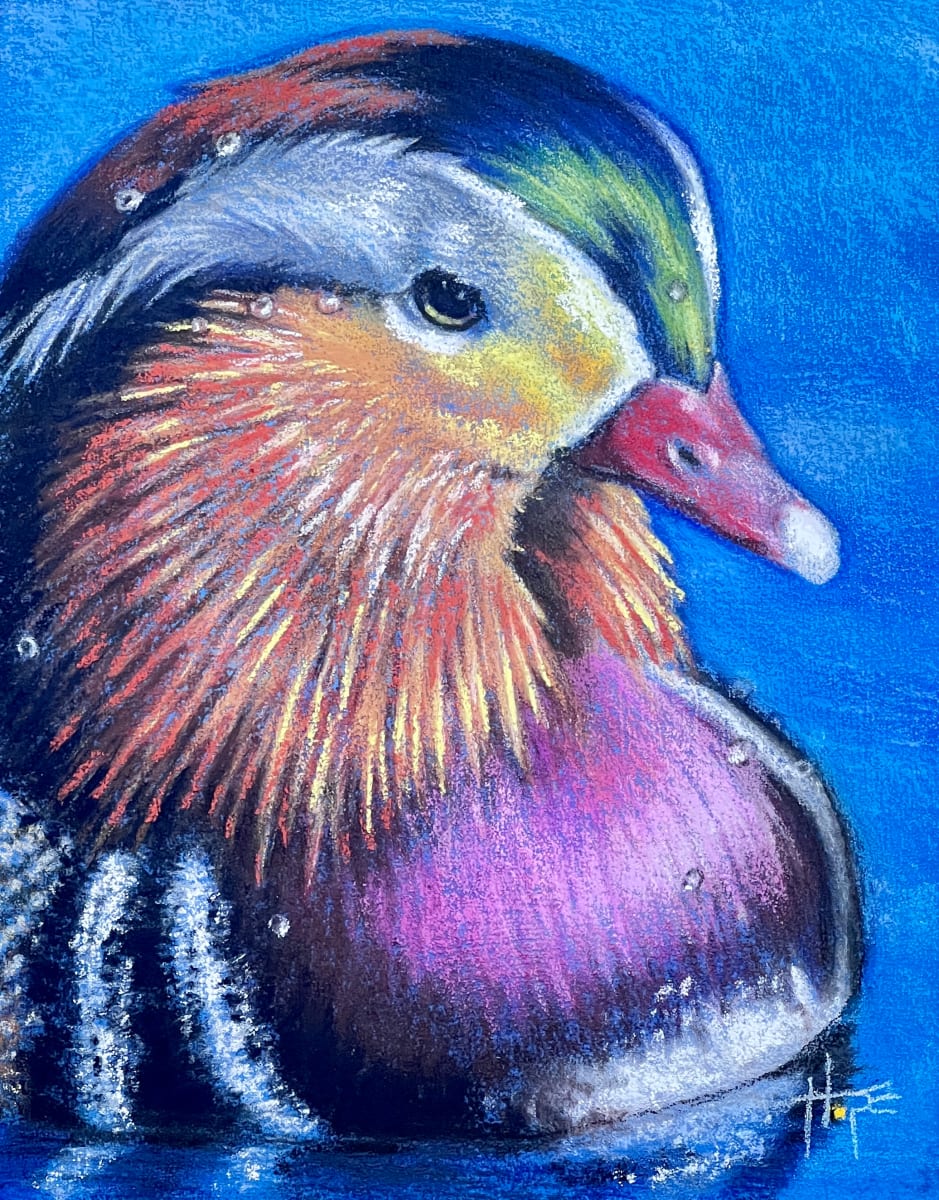 Splendid Plumage by Hope Martin 