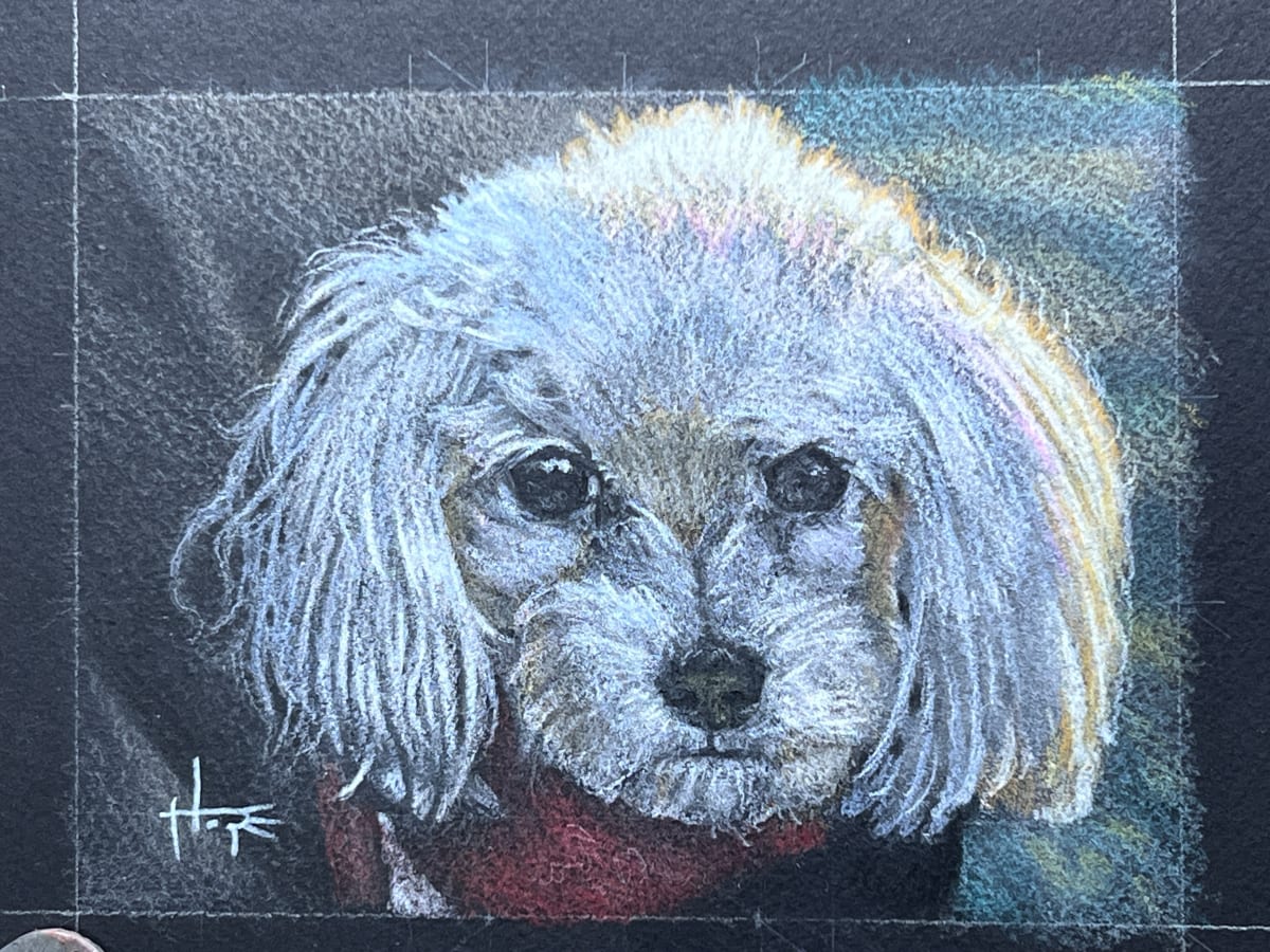 Molly by Hope Martin, Image 2.