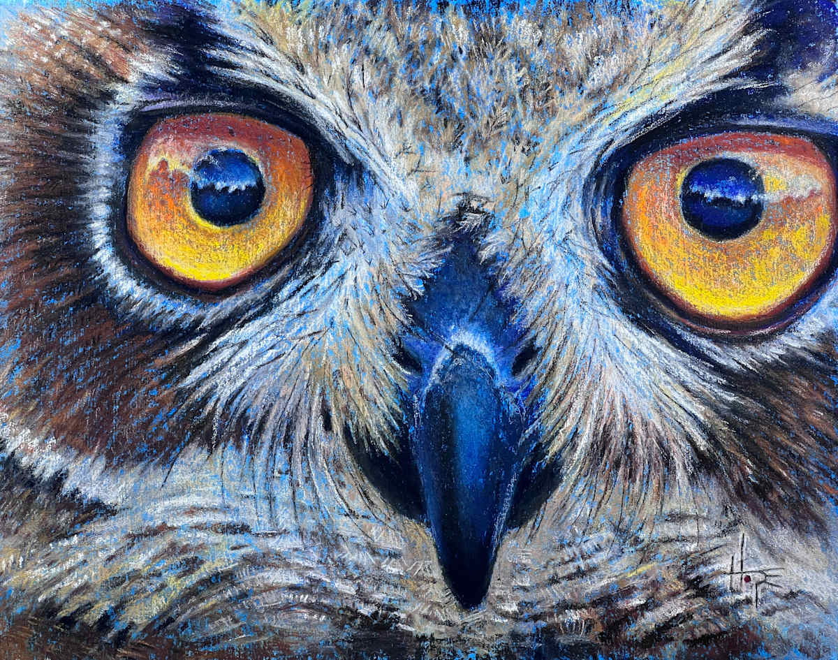 Feathers and Focus by Hope Martin, Image 1.