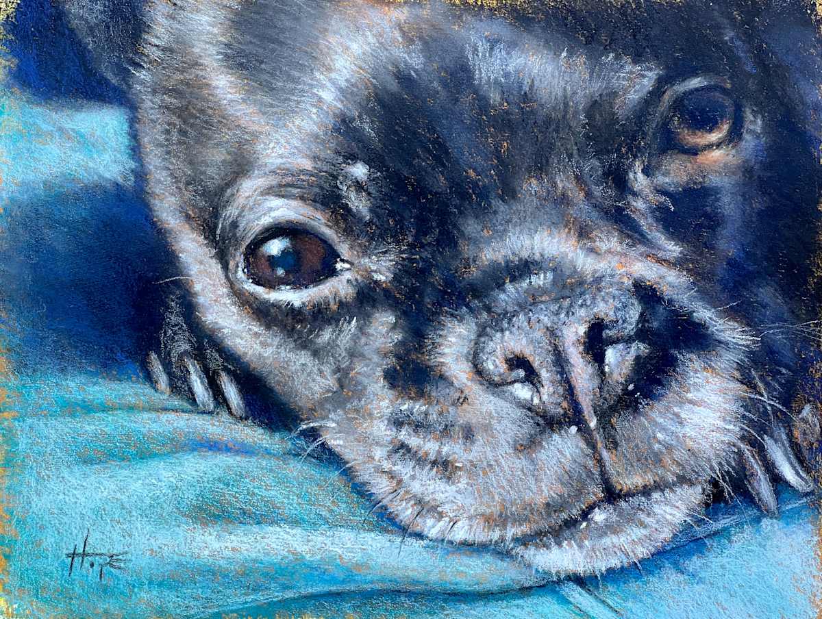Kirby, Support Specialist by Hope Martin, Image 1.
