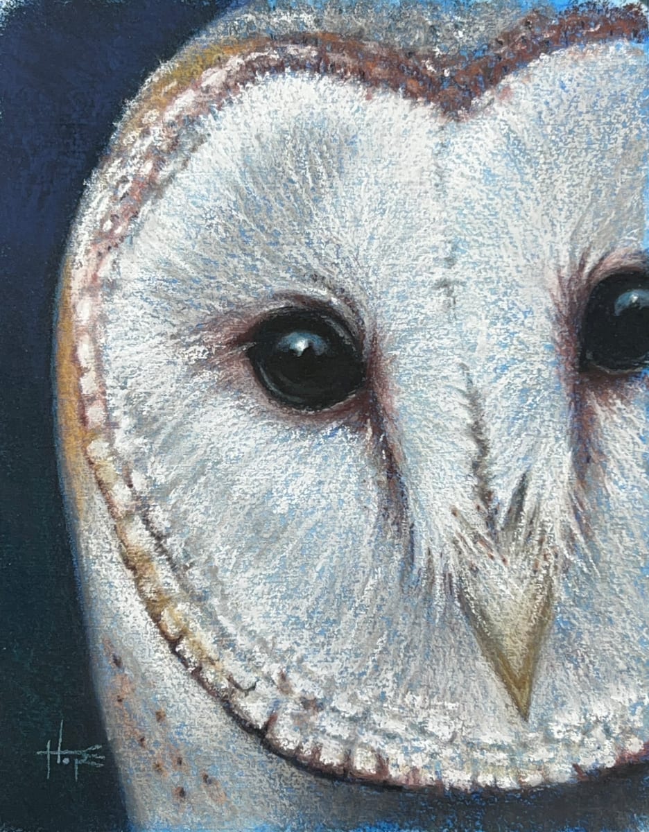 Silent Corner’s Secret by Hope Martin, Image 1.