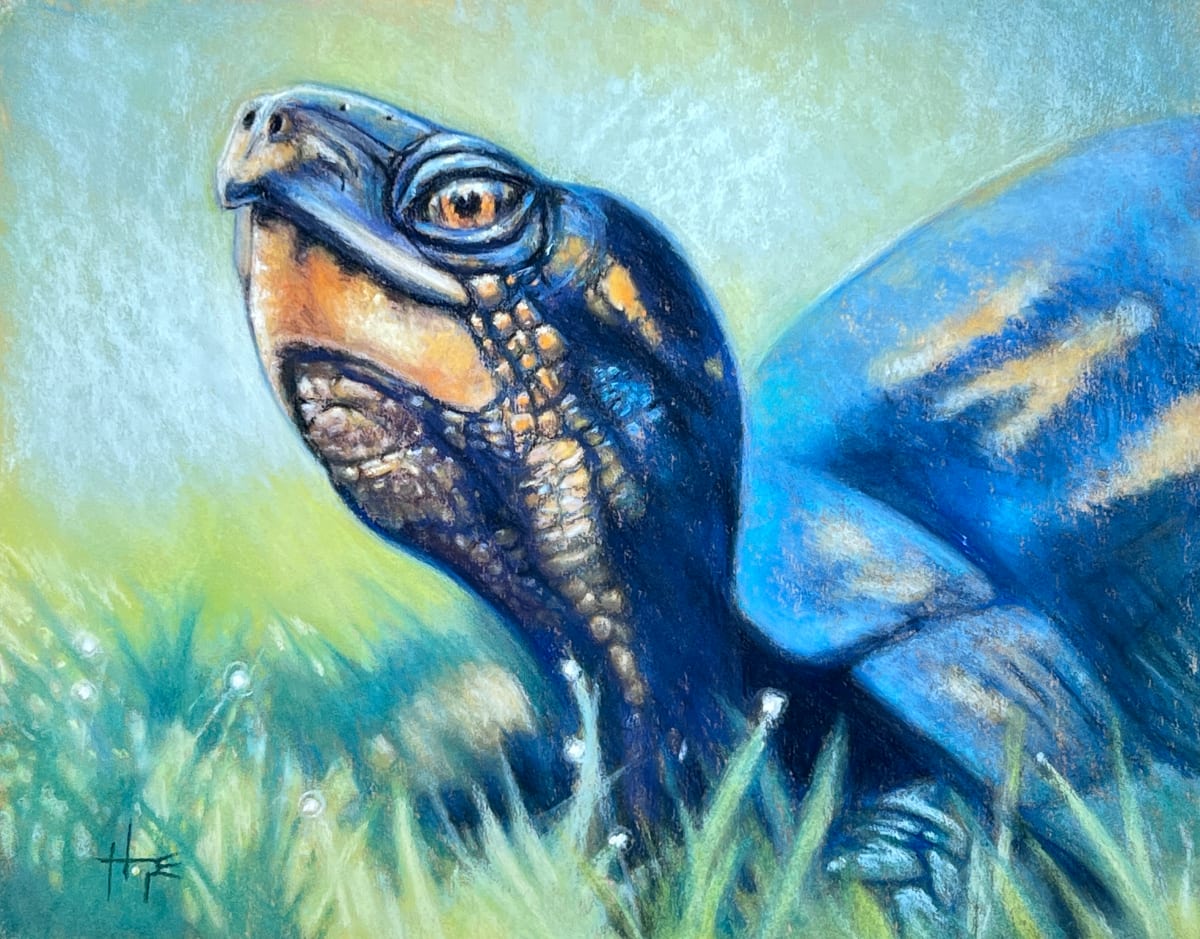 Morning Walk by Hope Martin  Image: Morning Walk was inspired by a literal walk on grass heavy with morning dew where I met a turtle in my garden