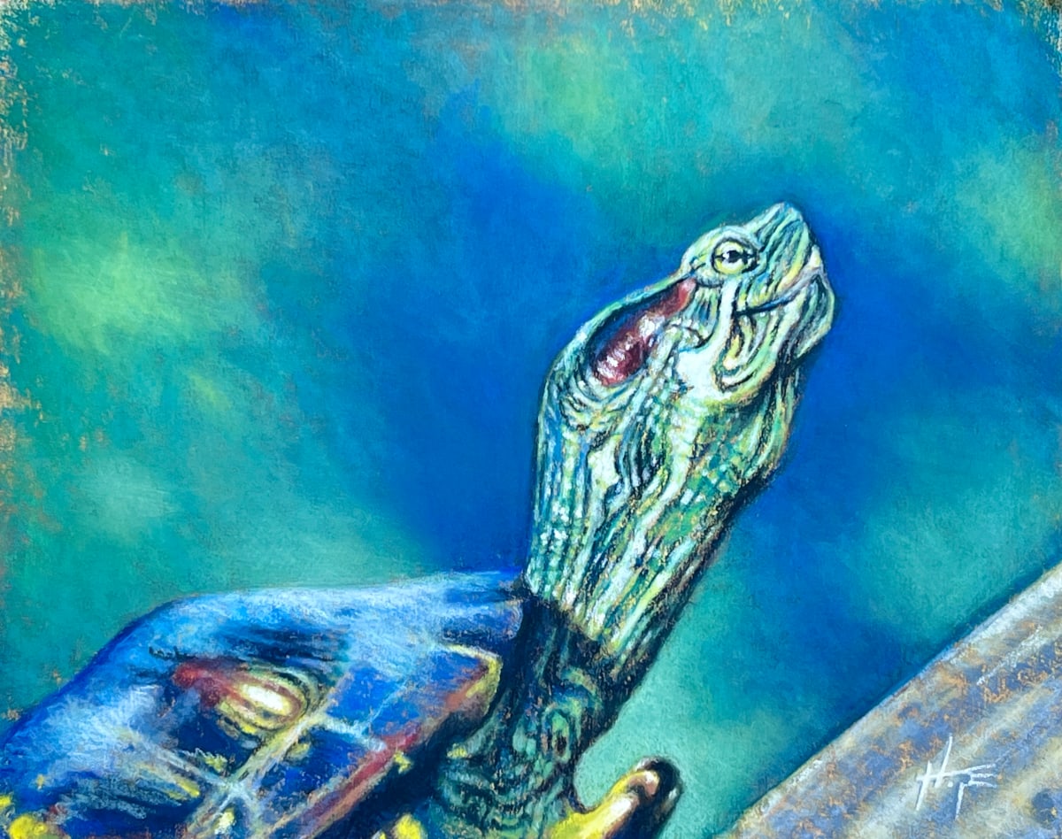 A Touch of Red by Hope Martin  Image: A lovely splash of red sported by a Red Eared Slider turtle