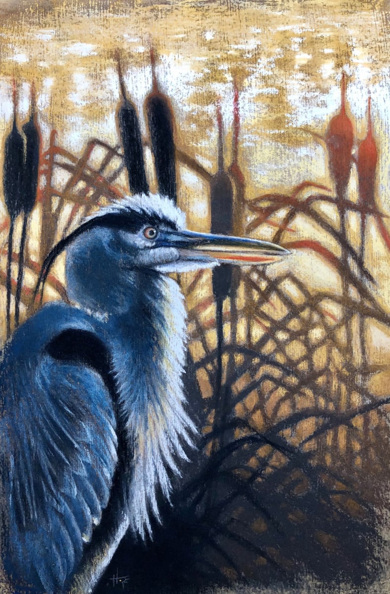 Strolling at Mill Creek by Hope Martin  Image: A blue heron strolling through the cattails at sunset