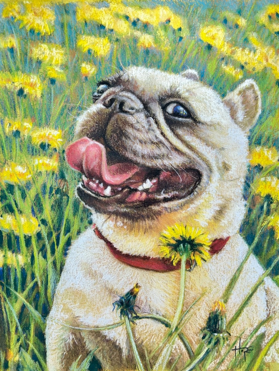 Dandy Dawg by Hope Martin 