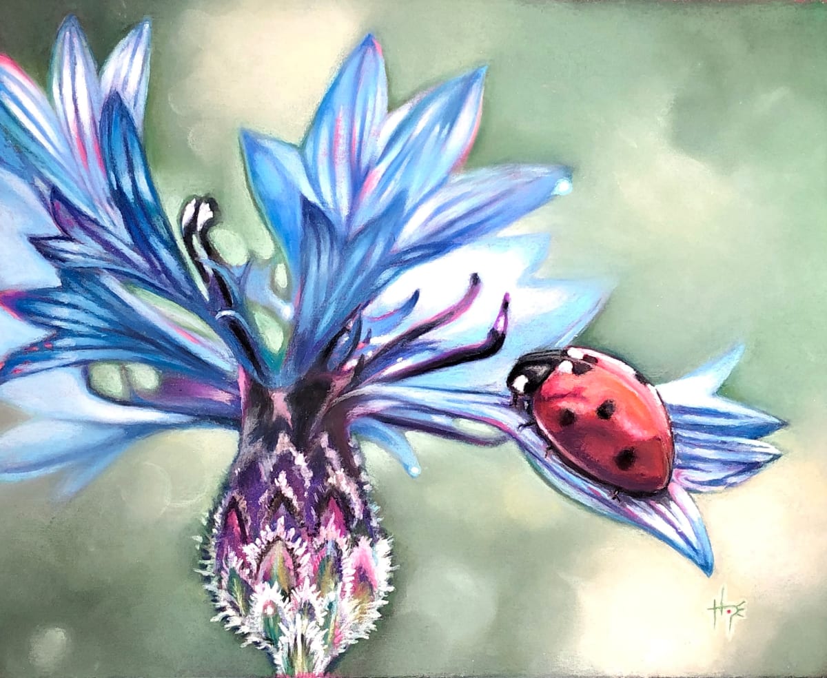 Cornflower Lady by Hope Martin 