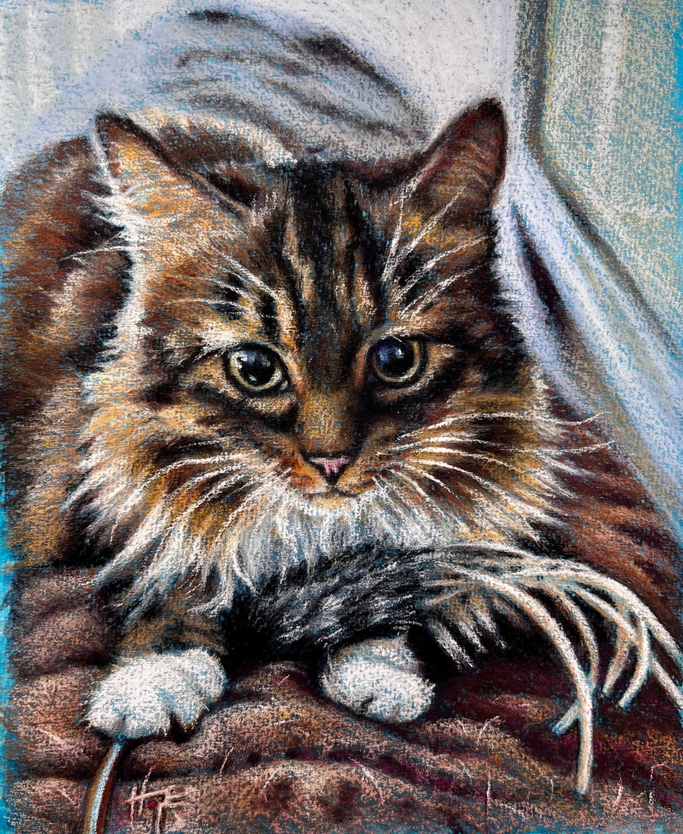 Indie's Portrait by Hope Martin 