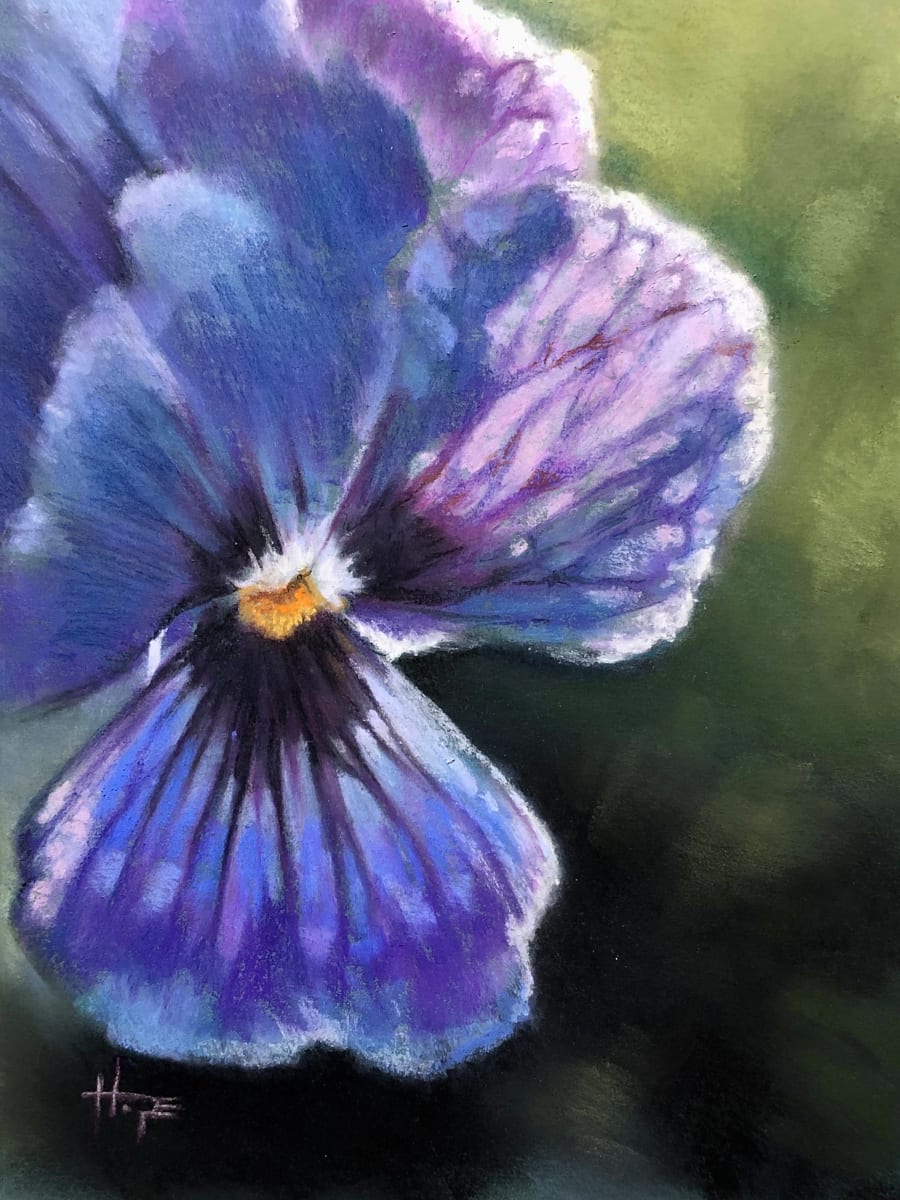 Violet study by Hope Martin  Image: a small flower that grew in my garden