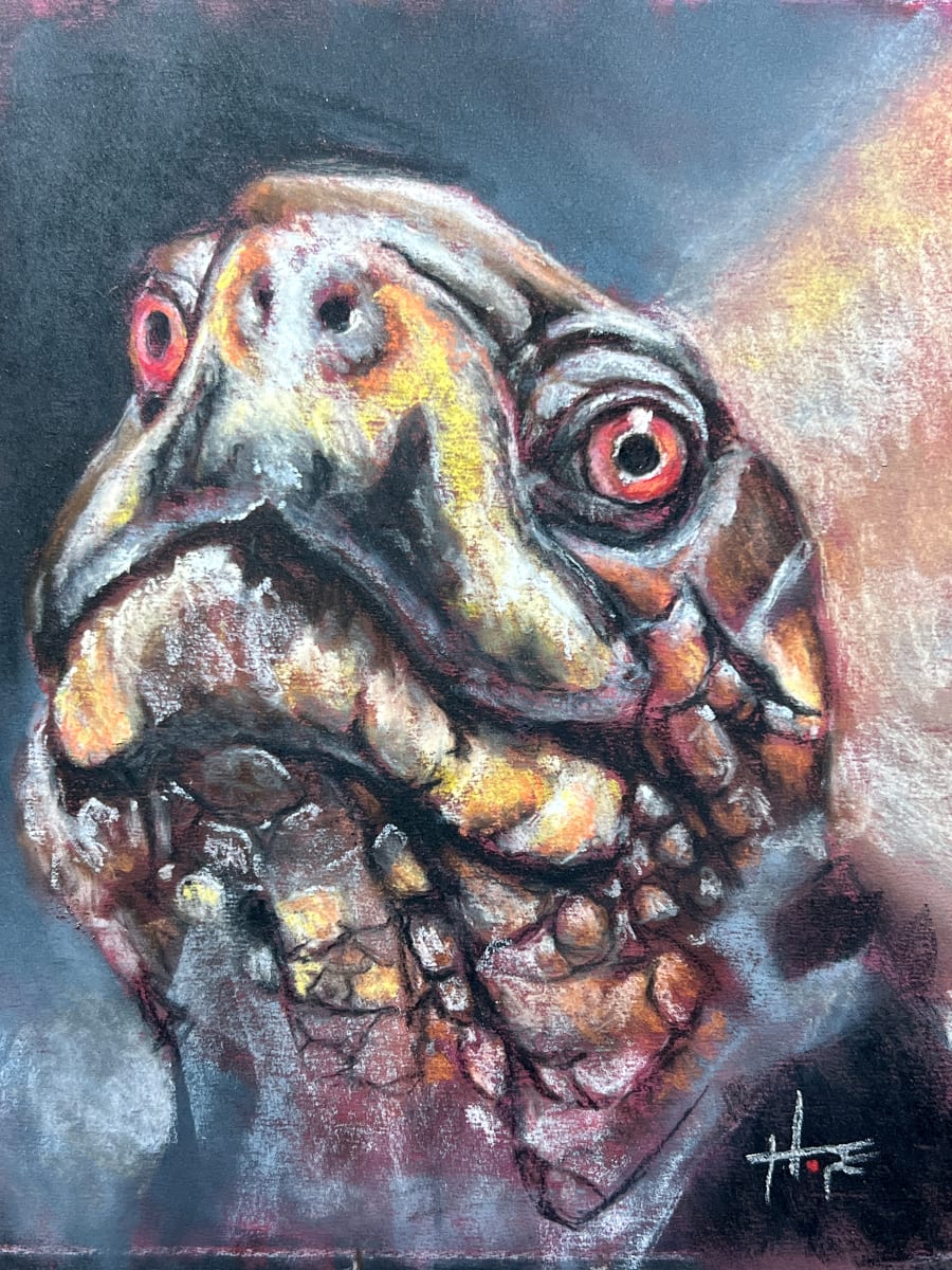 Box Turtle Study by Hope Martin  Image: portrait of a box turtle