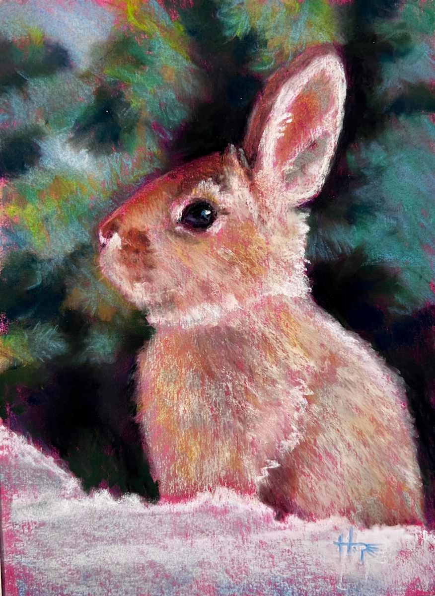 Snow bunny study by Hope Martin 