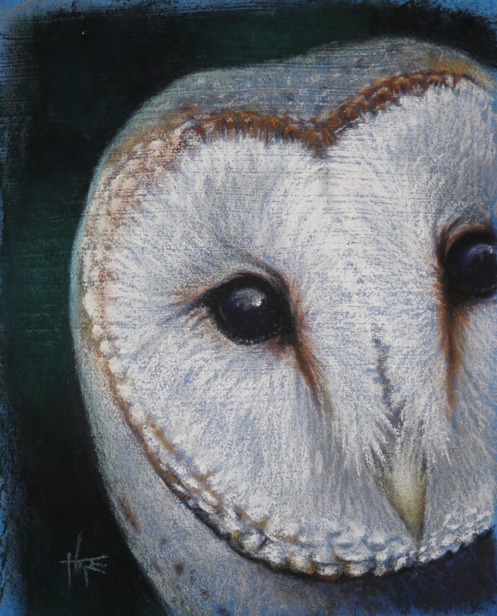 Barn Owl Study by Hope Martin, Image 1.