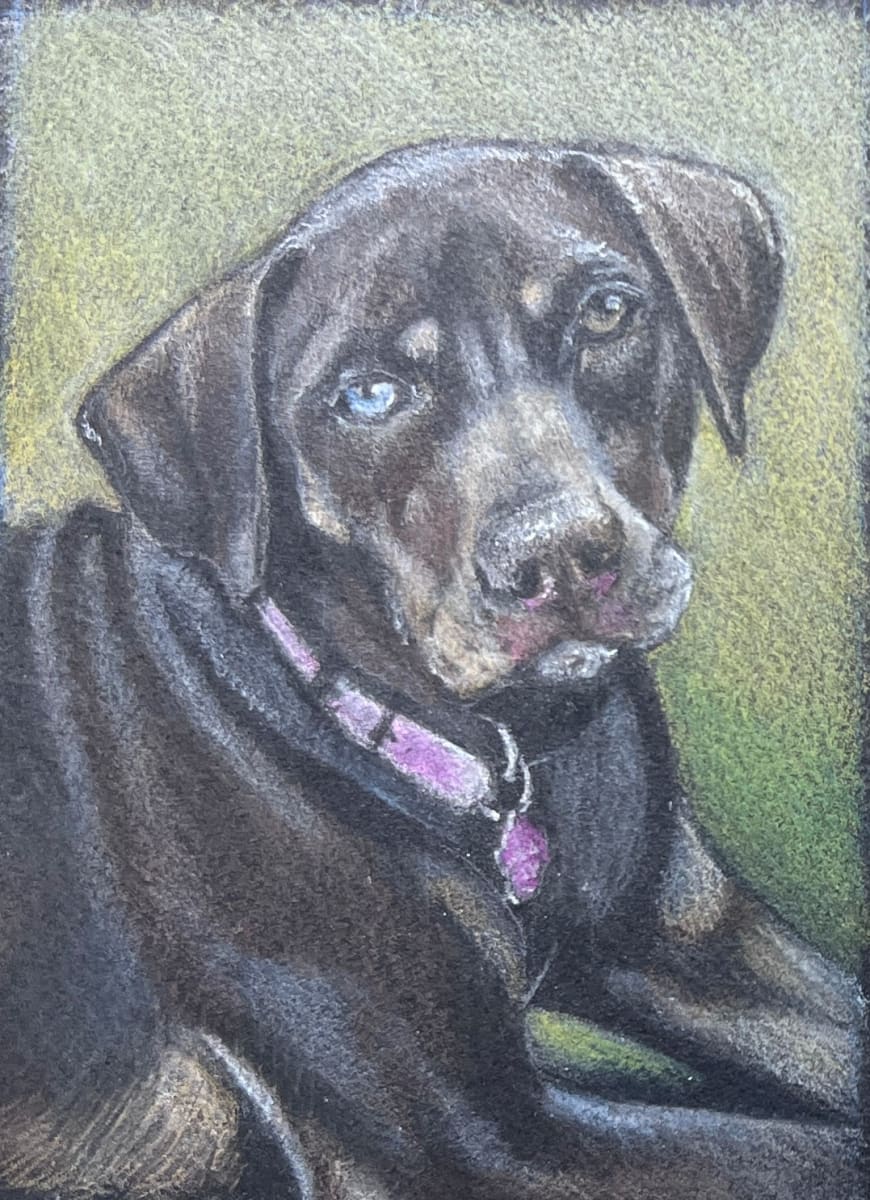 Coco's Portrait (GAW) by Hope Martin 
