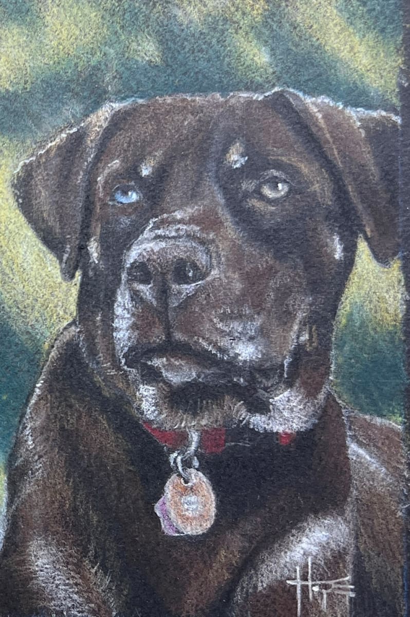 Coco's Portrait by Hope Martin, Image 2.