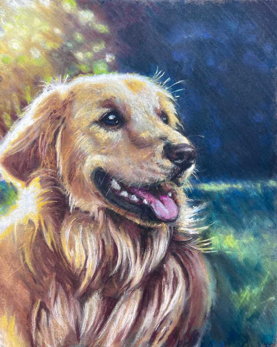 2 Dog Breed Portraits: Golden Retriever & Brussels Griffon by Hope Martin 