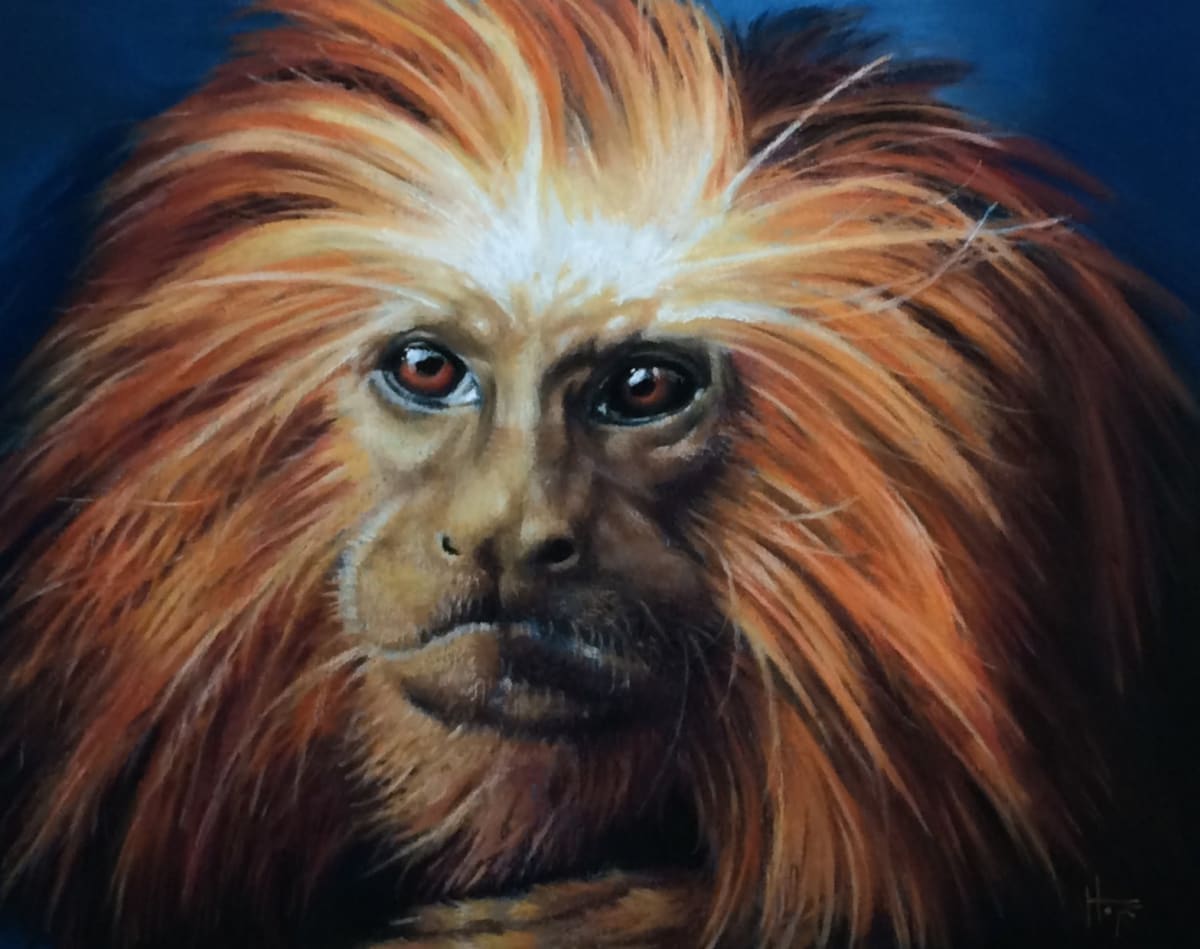 Golden Glow by Hope Martin 