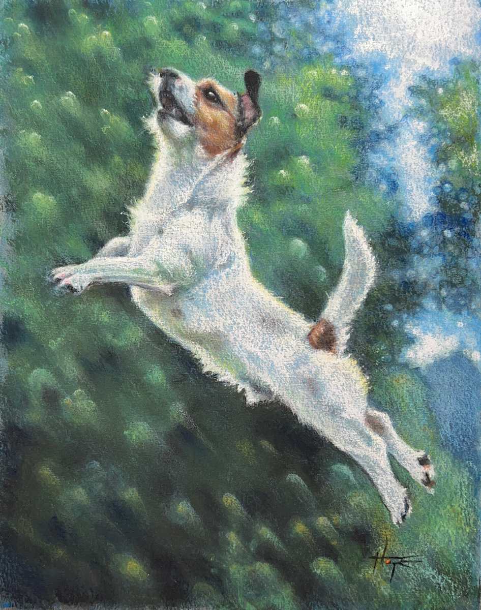 Jumping Jack by Hope Martin, Image 1.