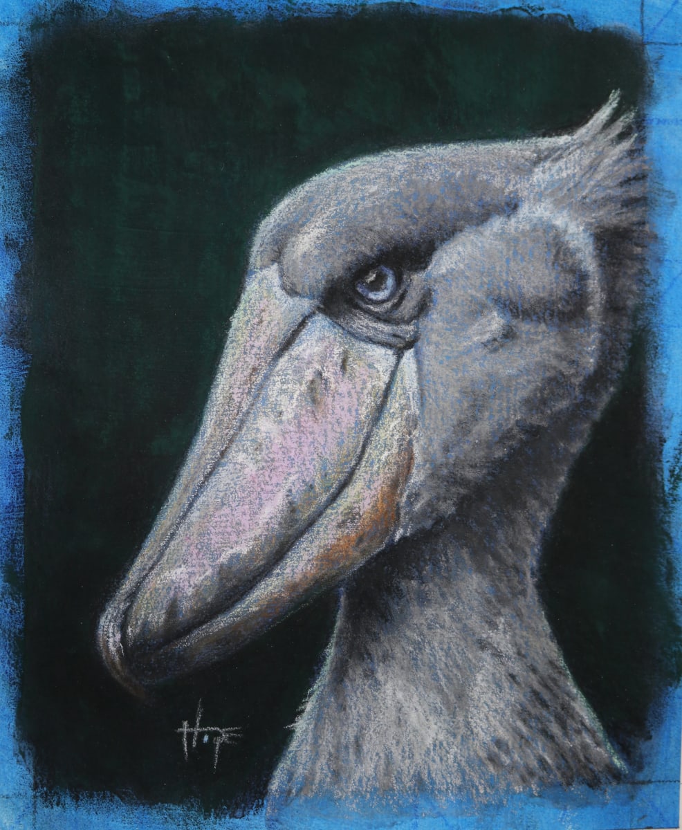 Shoebill study by Hope Martin, Image 1.