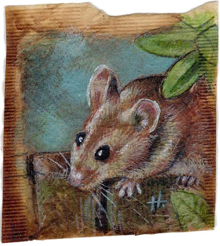Tiny Witness by Hope Martin, Image 1.