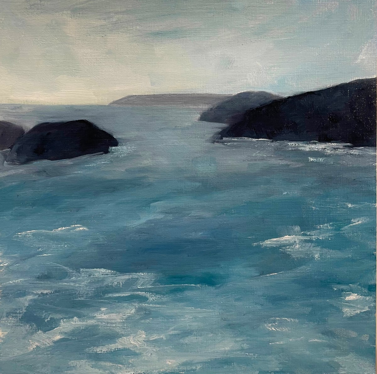 At Biscan Cove - Cape St. Francis by Victoria Veedell 