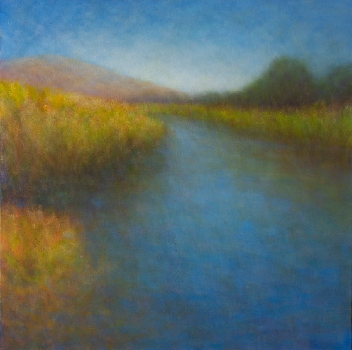 Exploring The Wetlands 