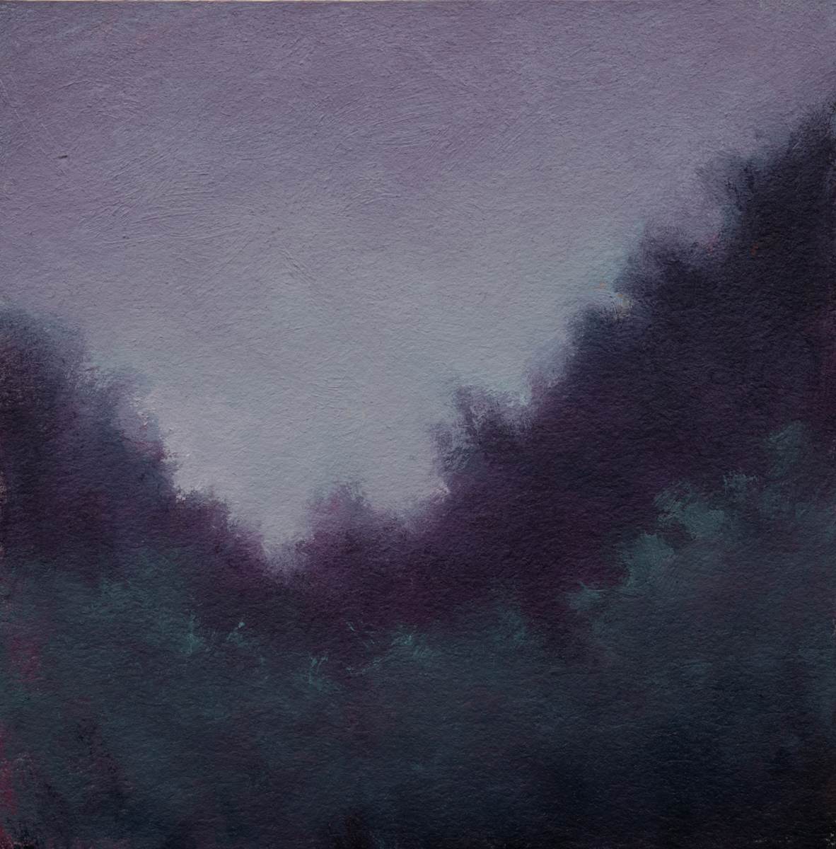 First Light Fog by Victoria Veedell 