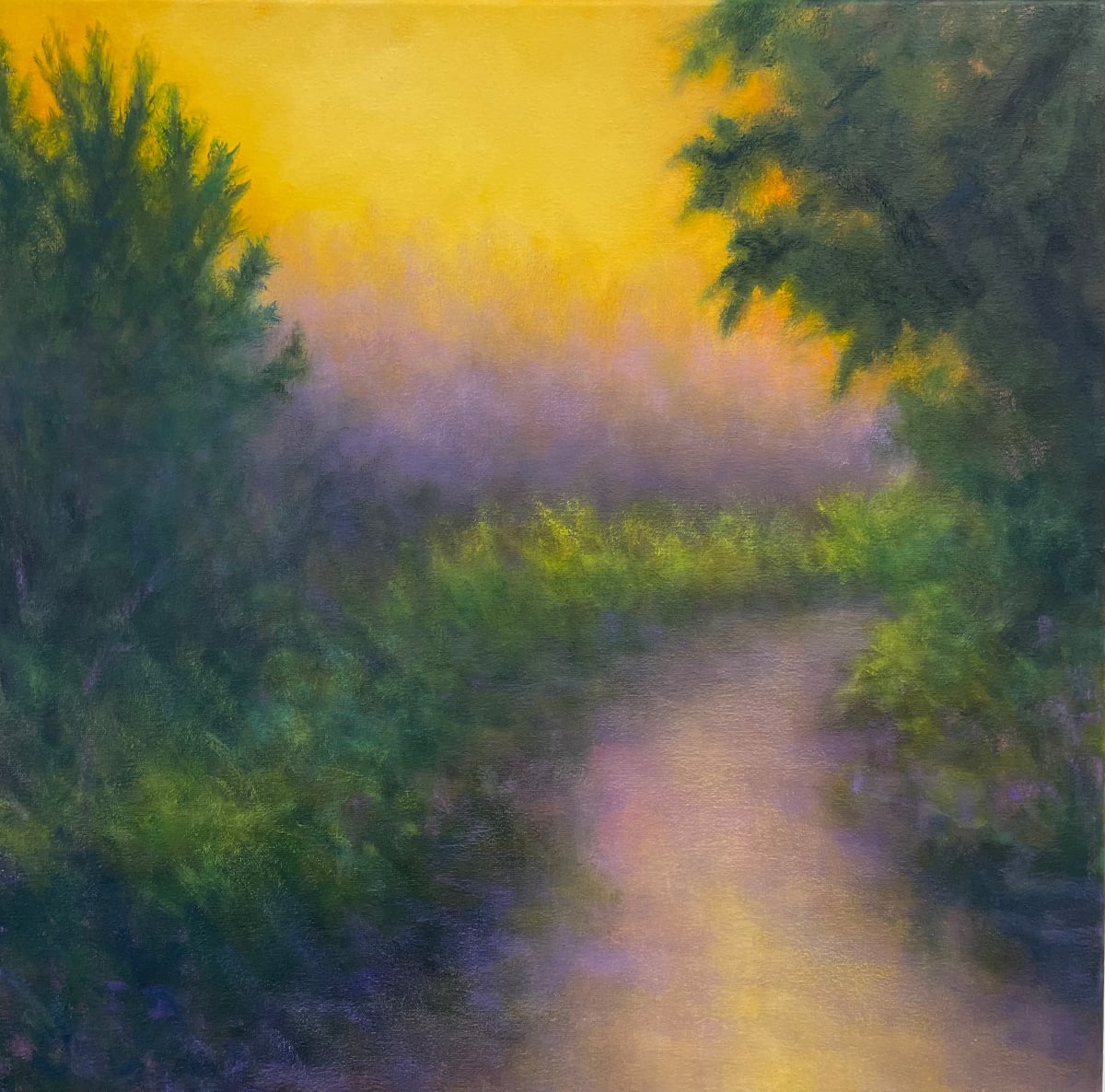 Golden Light - Presidio by Victoria Veedell 