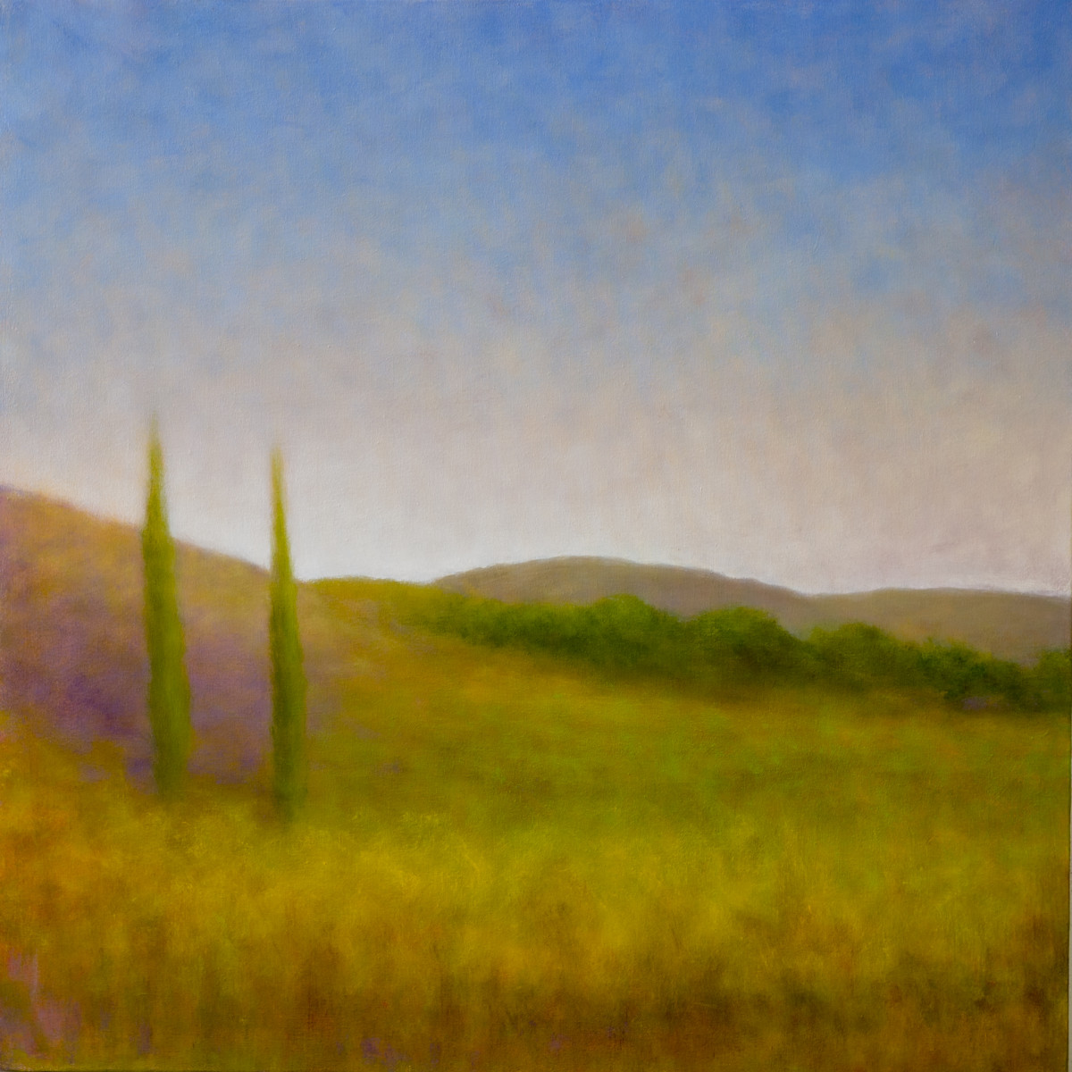 Napa Light by Victoria Veedell 