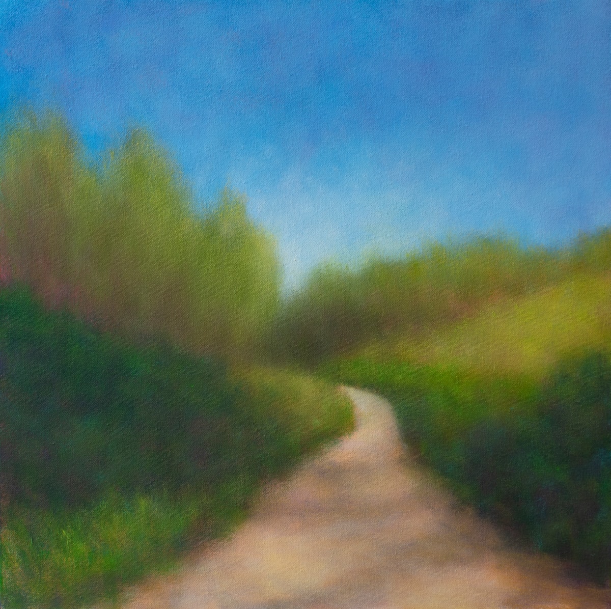 Presidio Path by Victoria Veedell 