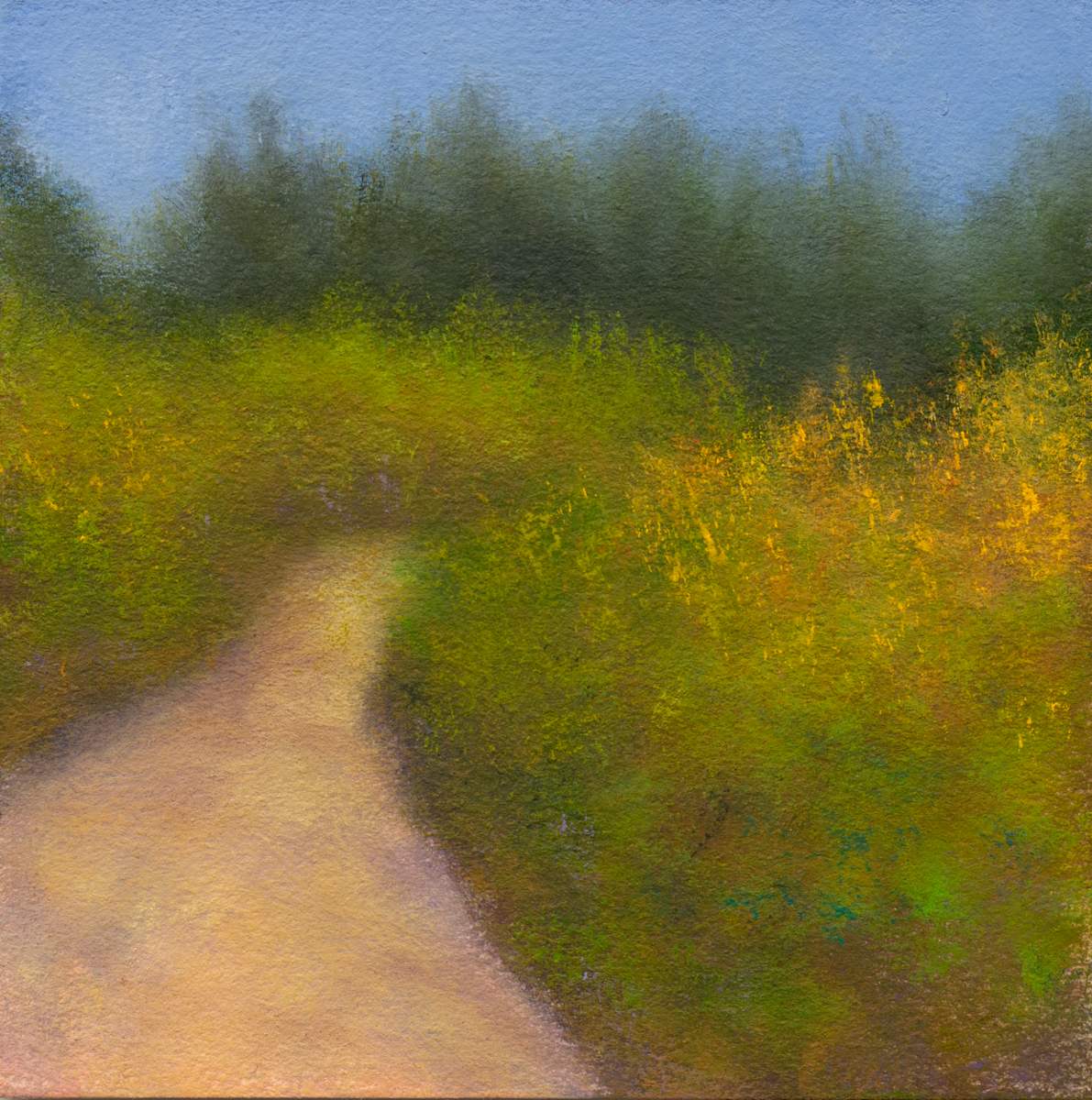 Presidio Mid Morning by Victoria Veedell 