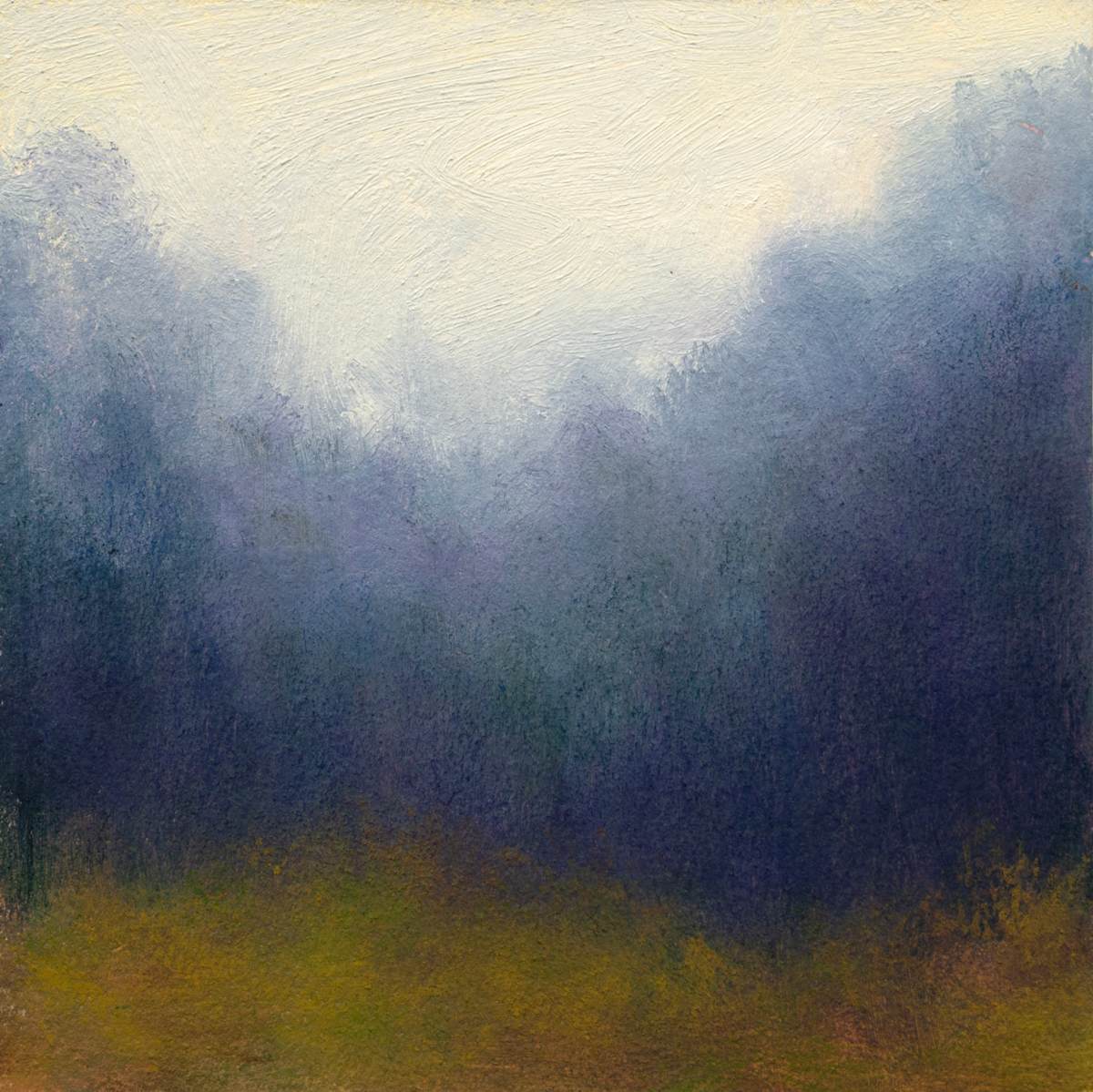 Treeline Fog by Victoria Veedell 