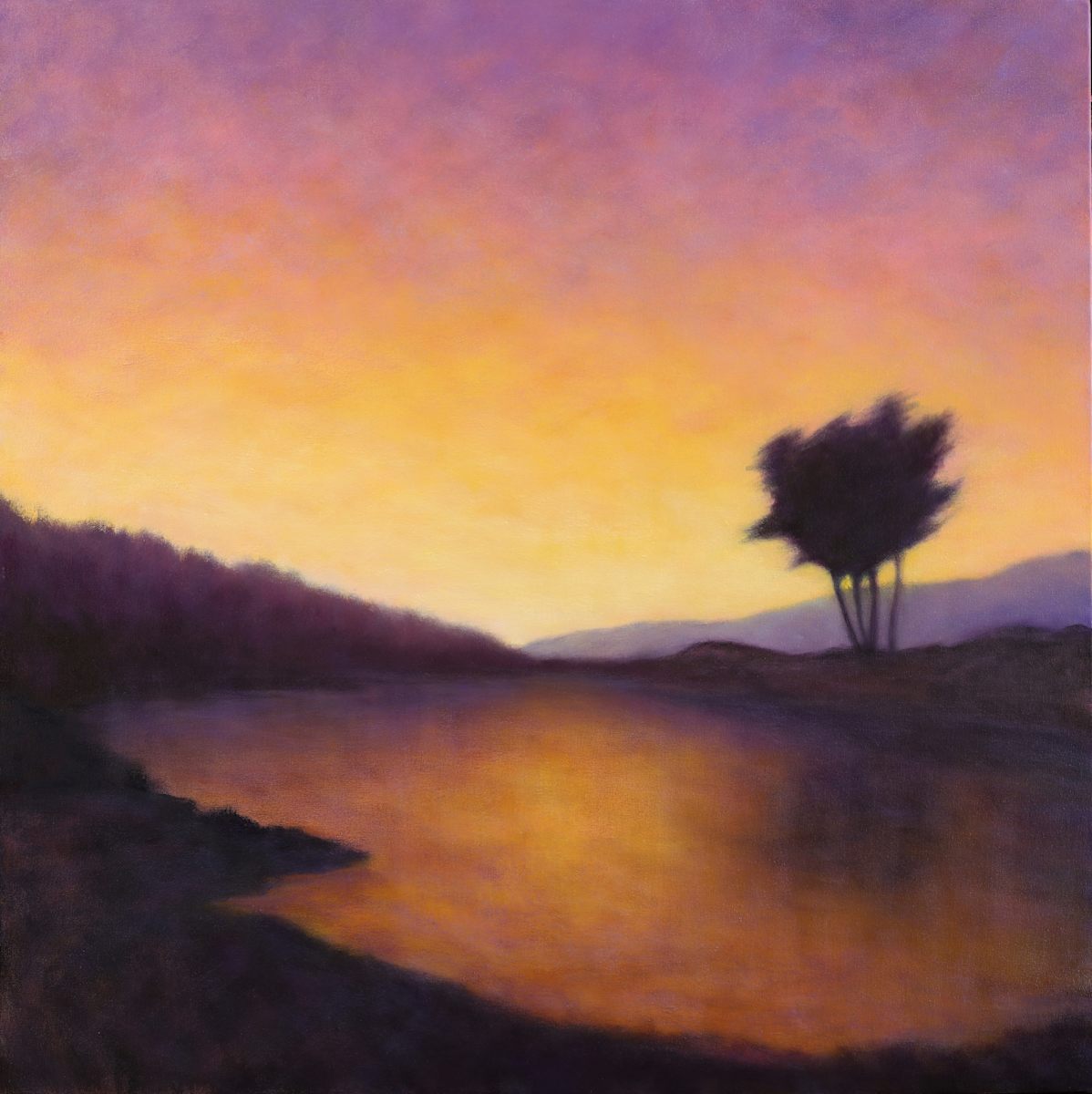 Crissy Marsh - Dusk by Victoria Veedell 