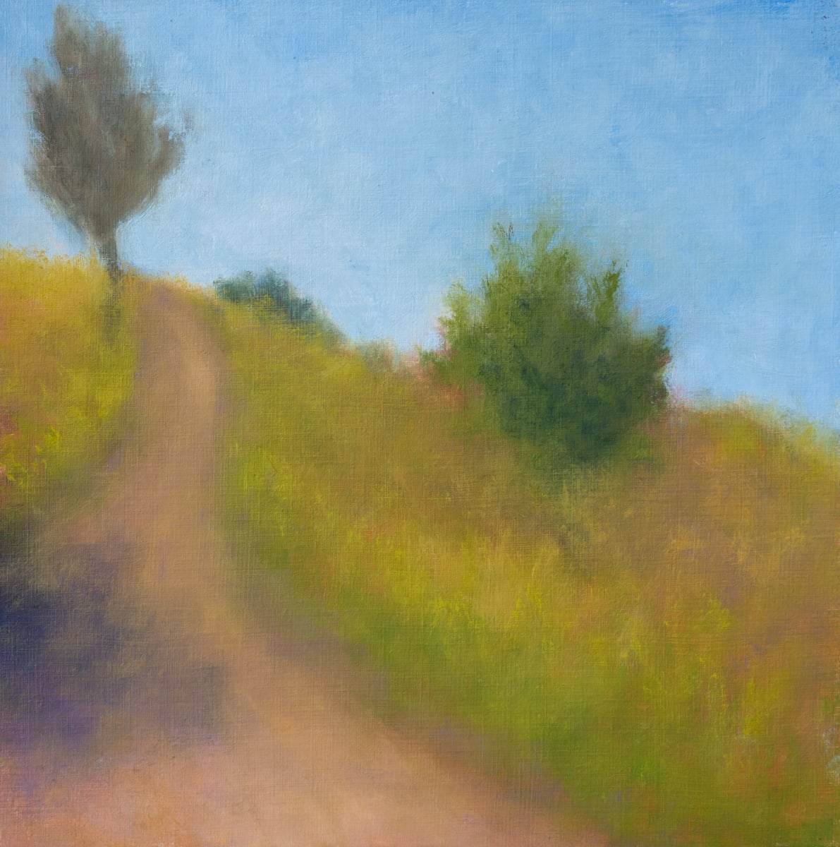 Path Shadow by Victoria Veedell 