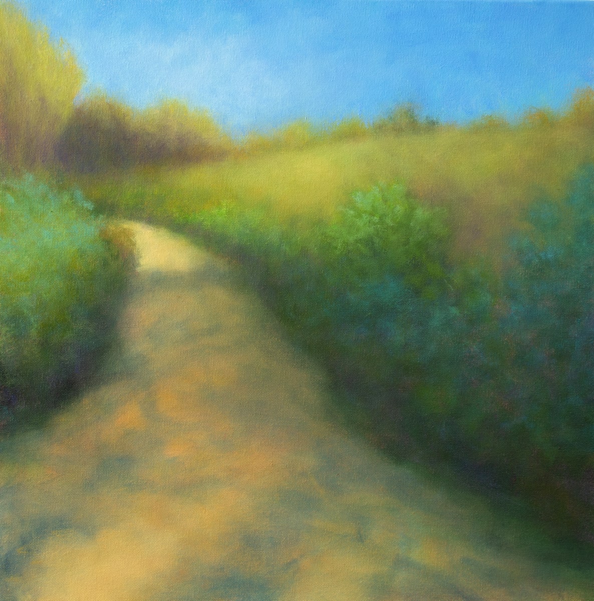 Path Shadows by Victoria Veedell 