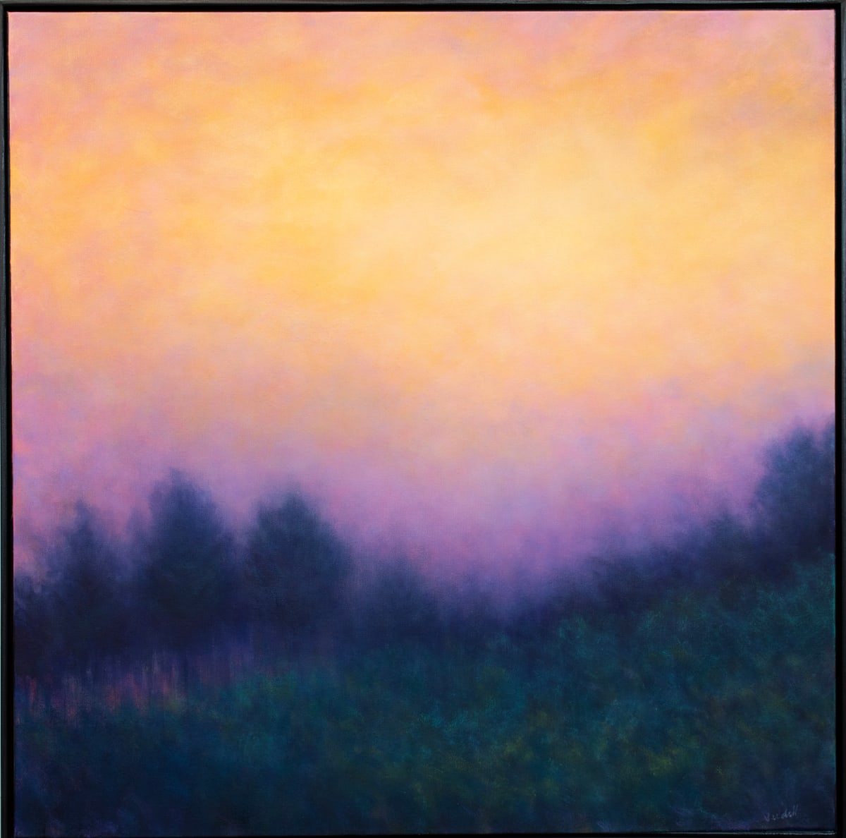 Presidio Light by Victoria Veedell 