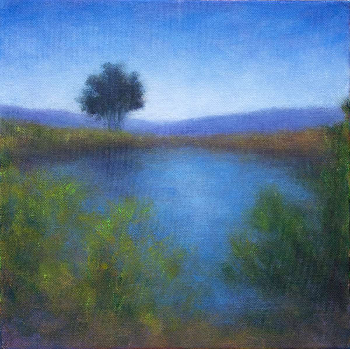 Summer Crissy Marsh by Victoria Veedell 