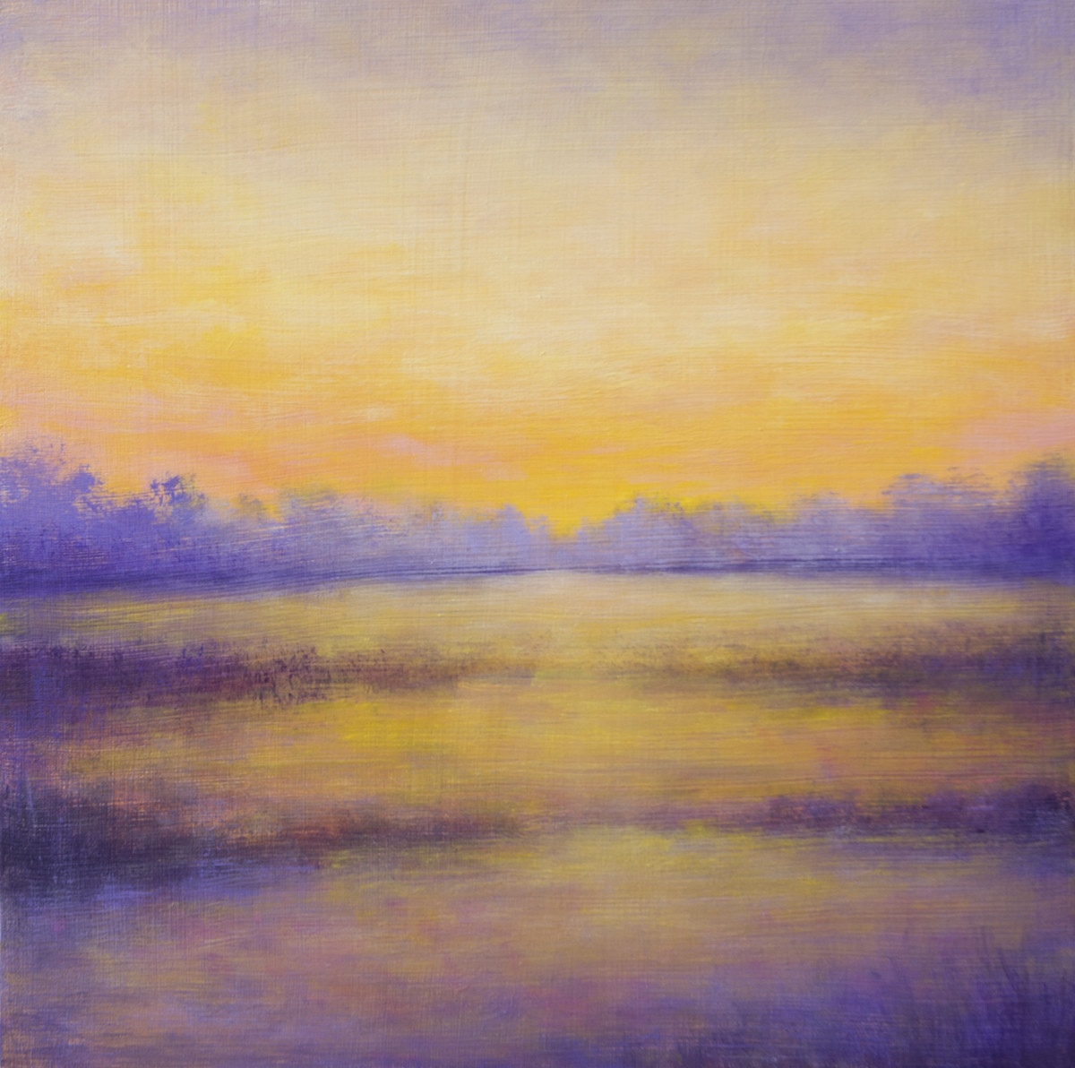 Stillness at Sunset by Victoria Veedell 