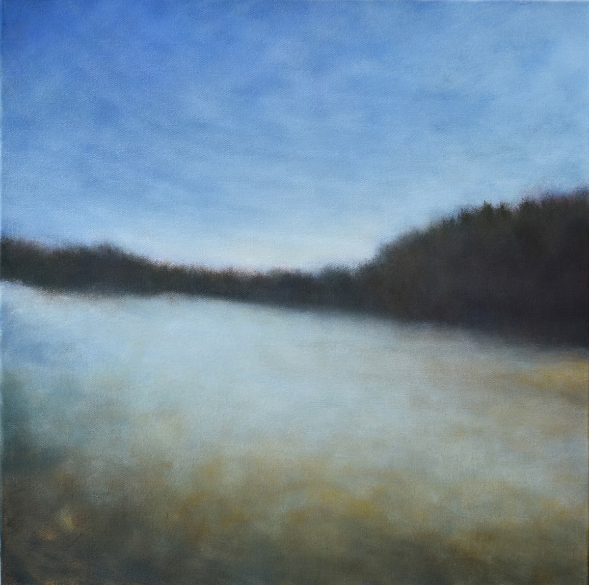 Winter Field by Victoria Veedell 