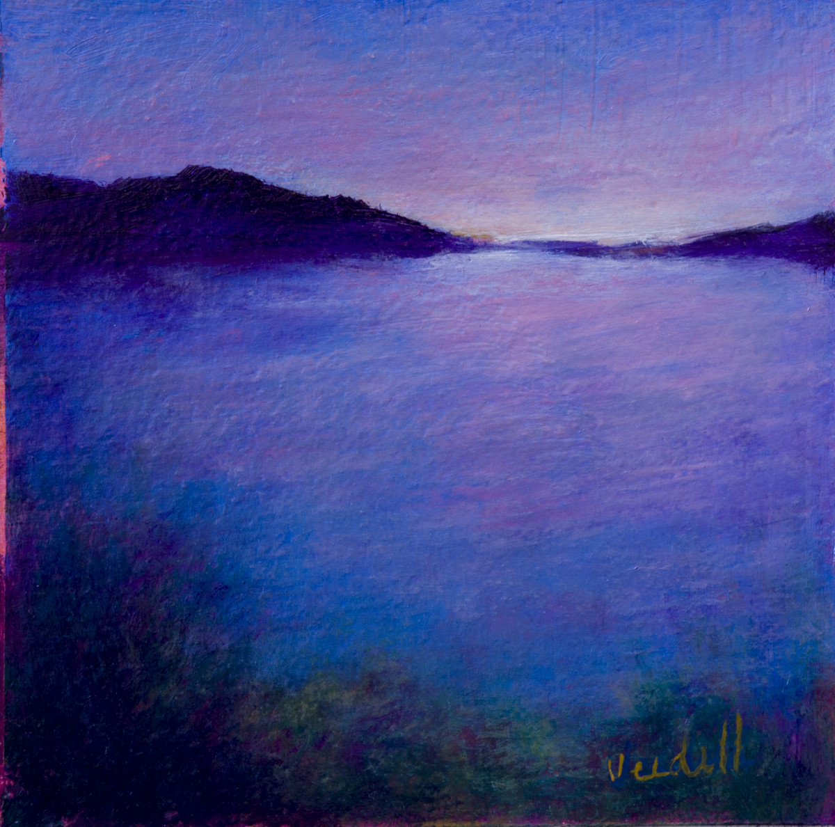 Looking Out by Victoria Veedell 