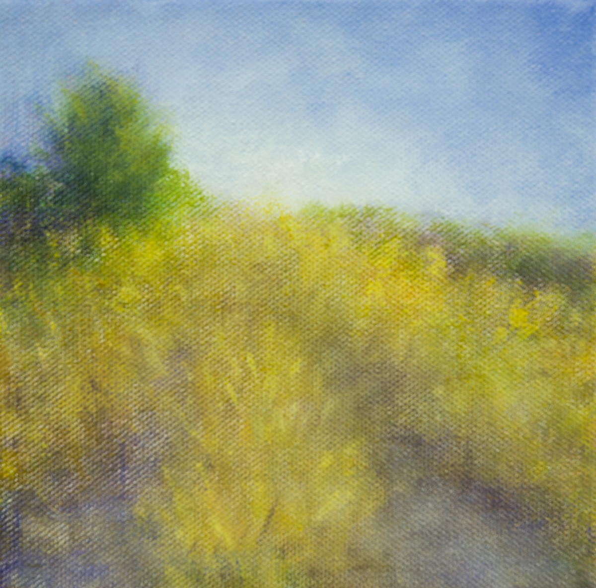 Path on Chalk Hill by Victoria Veedell, Image 1.