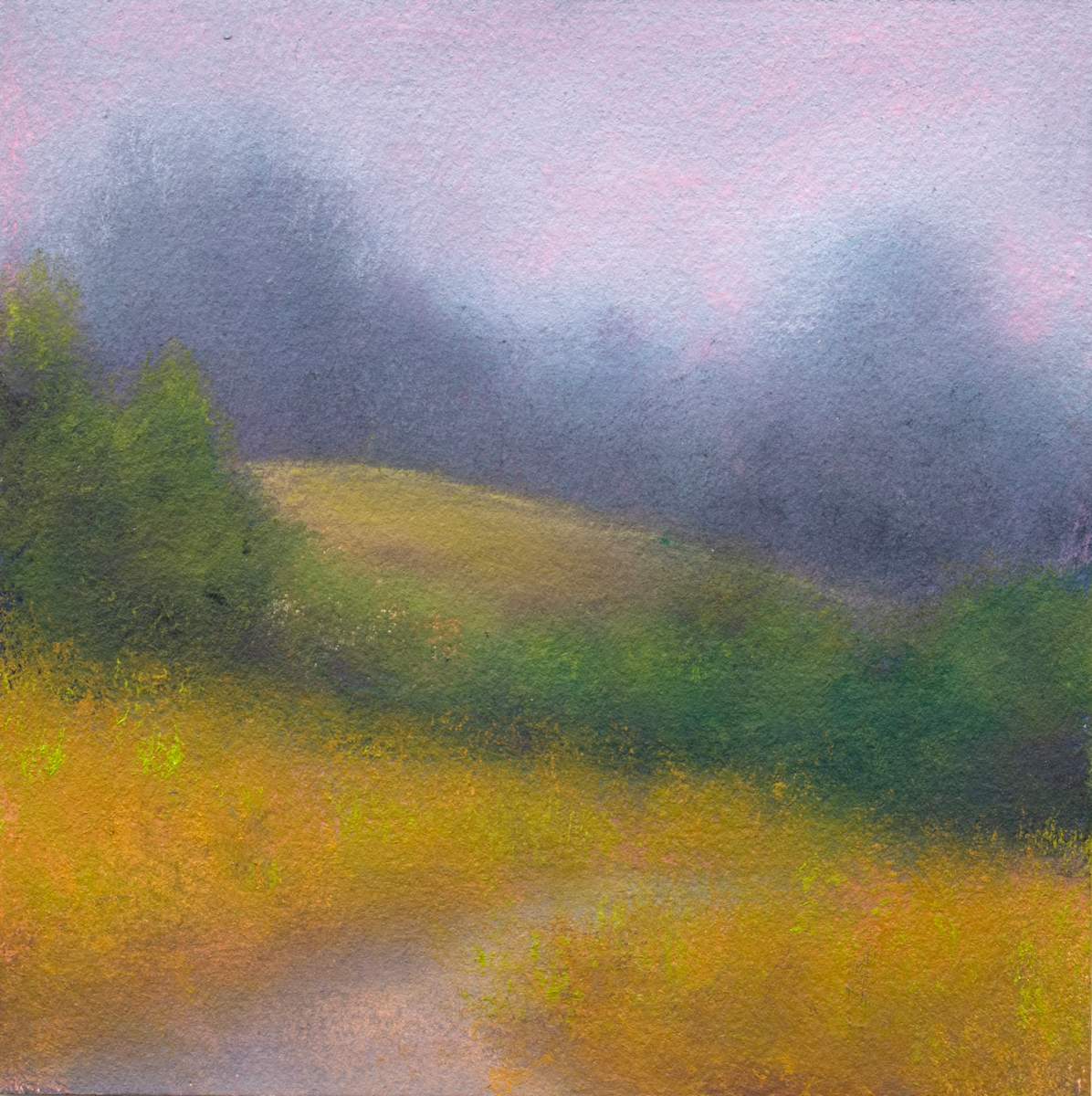 Fog Over the Presidio by Victoria Veedell 