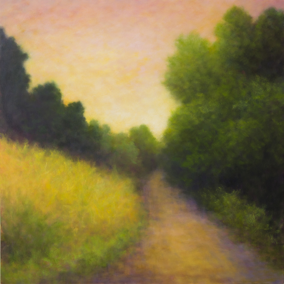 Presidio Sunrise by Victoria Veedell 