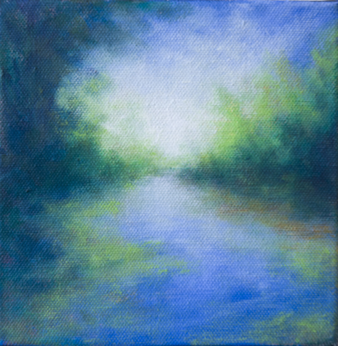 Hidden Spring by Victoria Veedell 