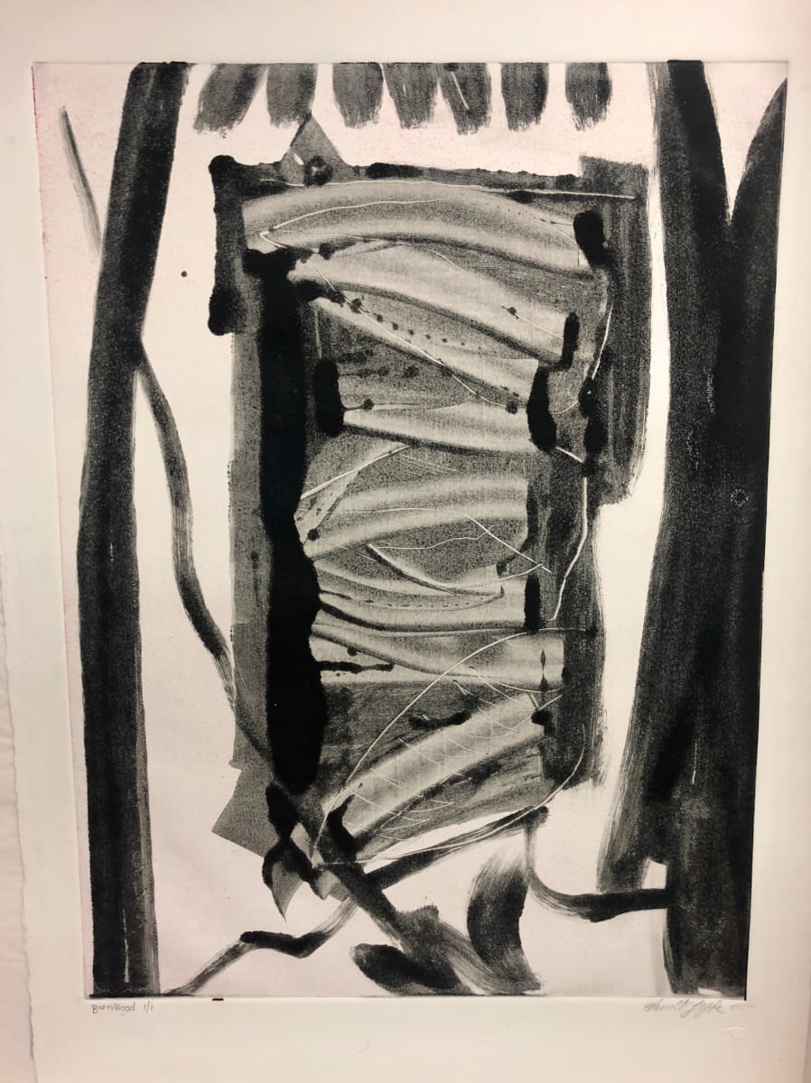 Barnwood (copy) by Harriette Joffe 