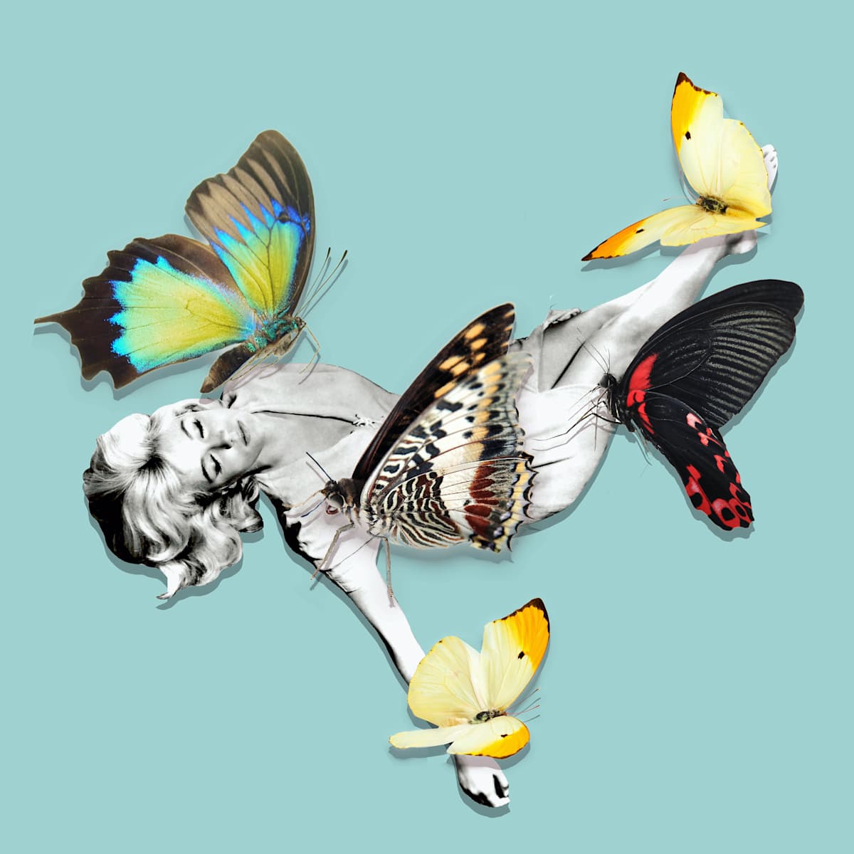 Carried Away Again by Ariel Kohn 