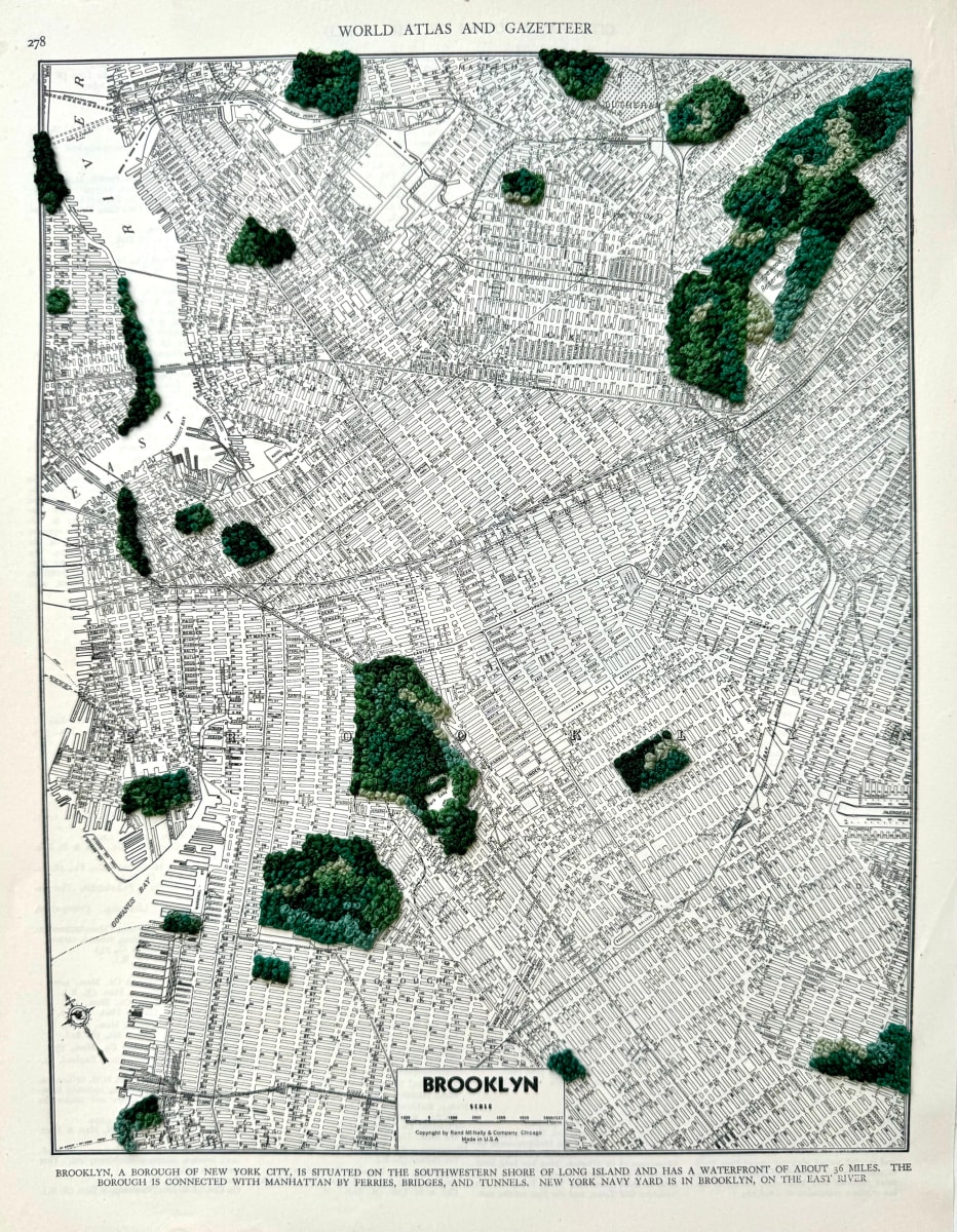 Brooklyn by Ariel Kohn 