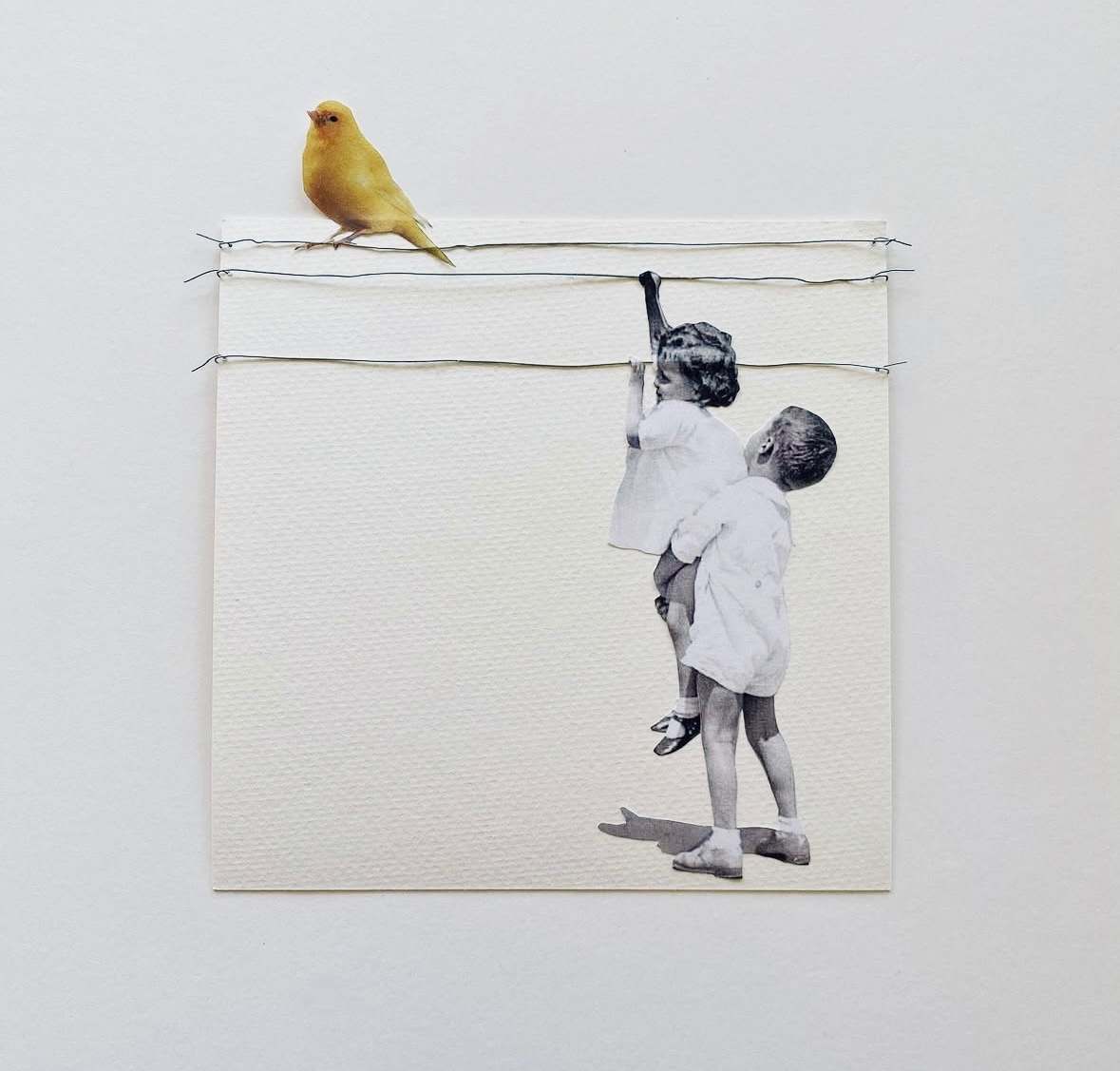 Bird On A Wire by Ariel Kohn, Image 1.